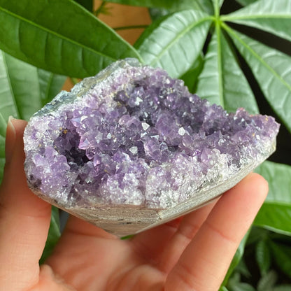 Raw Amethyst Geode | 10.6 oz | 3.1” | Rough Amethyst | Cathedral Amethyst | Crystal Cluster | Cut Base | Uruguay | Free Standing | AG2