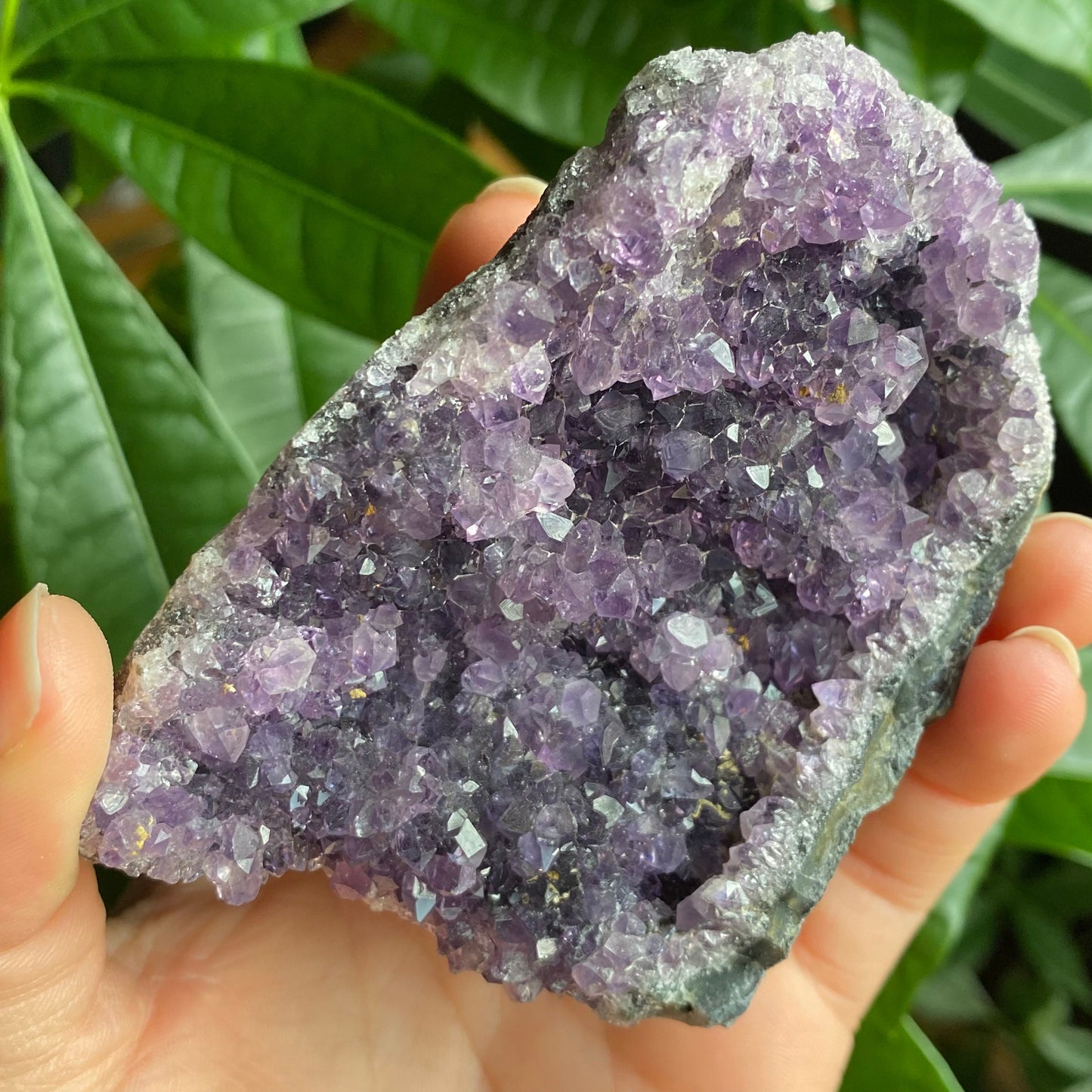 Raw Amethyst Geode | 10.6 oz | 3.1” | Rough Amethyst | Cathedral Amethyst | Crystal Cluster | Cut Base | Uruguay | Free Standing | AG2