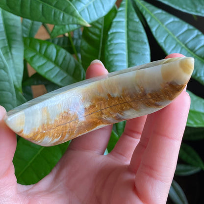 Green Onyx Moon Bowl | 3.1" | 4.2 oz | Banded Calcite | Crystal Bowl | Crystal Carving | CM2