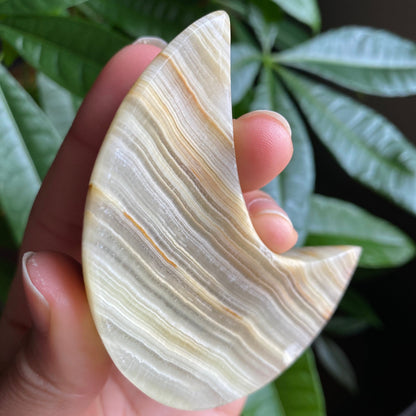 Green Onyx Moon Bowl | 3.1" | 4.2 oz | Banded Calcite | Crystal Bowl | Crystal Carving | CM2