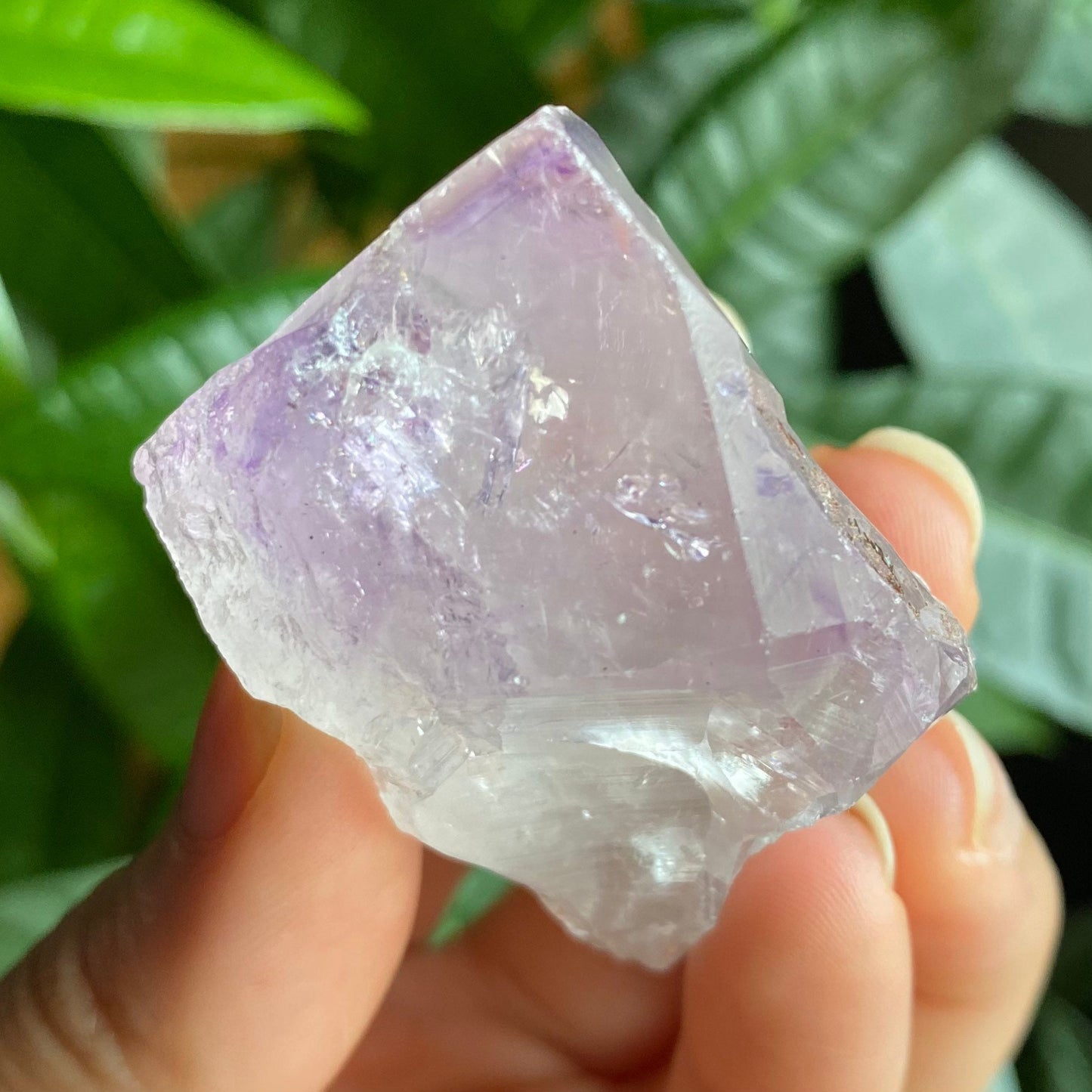 Natural Amethyst Point | 2.3 oz | 2.5 in | Natural Crystal Point | Brazilian Amethyst | Rough Amethyst | AP3