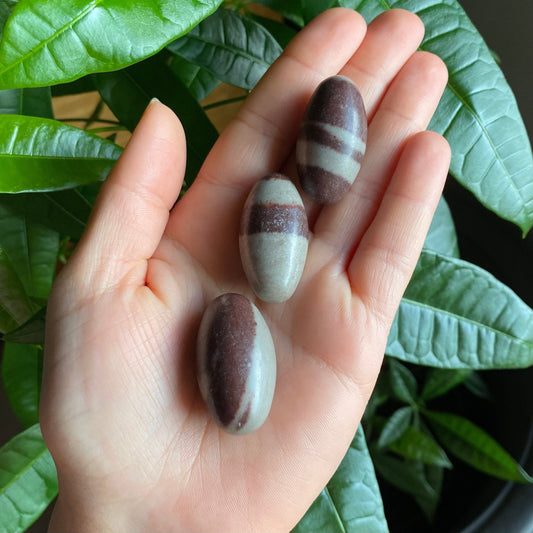 Shiva Lingam Stone | 1.4" | 0.6 oz | Shiva Lingam Egg | Fertility Stone | Shiva Lingam Crystal