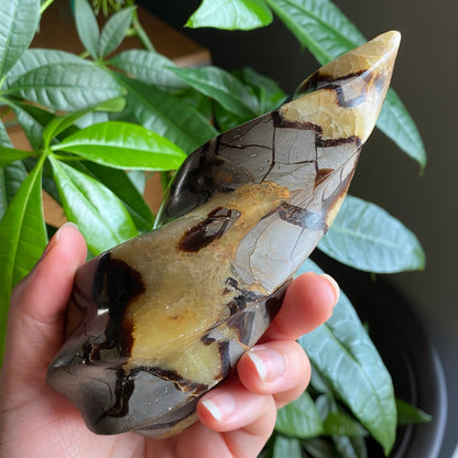 Septarian Flame | 5.7" | 15.9 oz | Dragon Stone | Septarian Crystal | Crystal Flame | Crystal Carving | SF2