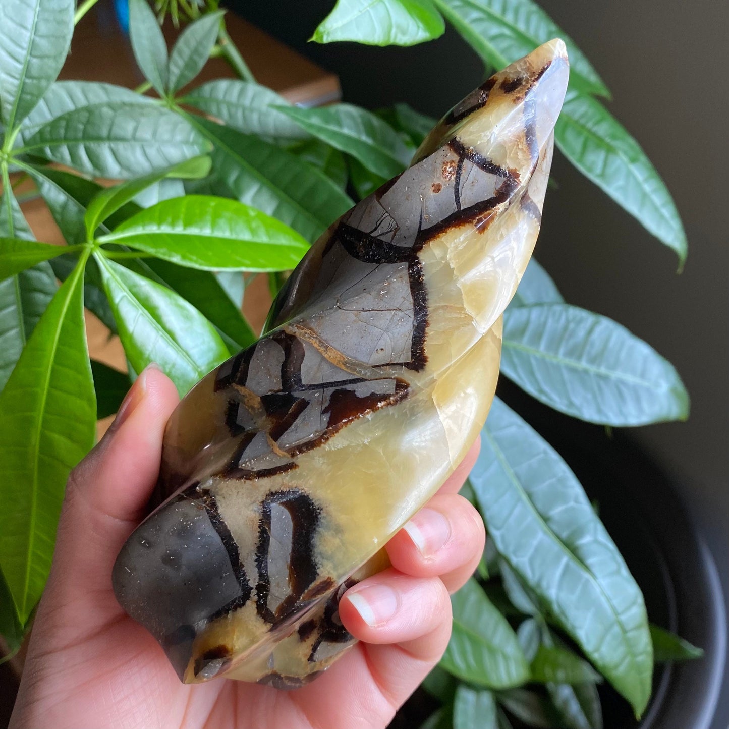 Septarian Flame | 5.7" | 15.9 oz | Dragon Stone | Septarian Crystal | Crystal Flame | Crystal Carving | SF2