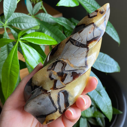 Septarian Flame | 5.7" | 15.9 oz | Dragon Stone | Septarian Crystal | Crystal Flame | Crystal Carving | SF2