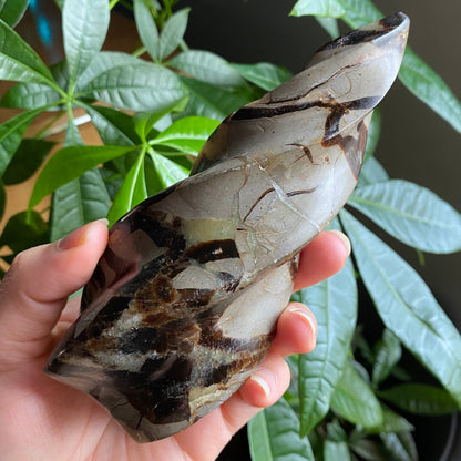 Septarian Flame | 5.7" | 15.4 oz | Dragon Stone | Septarian Crystal | Crystal Flame | Crystal Carving | SF3