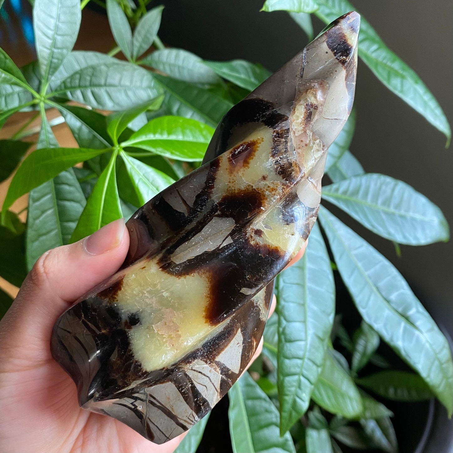 Septarian Flame | 5.7" | 15.4 oz | Dragon Stone | Septarian Crystal | Crystal Flame | Crystal Carving | SF3