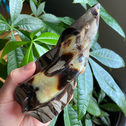 Septarian Flame | 5.7" | 15.4 oz | Dragon Stone | Septarian Crystal | Crystal Flame | Crystal Carving | SF3