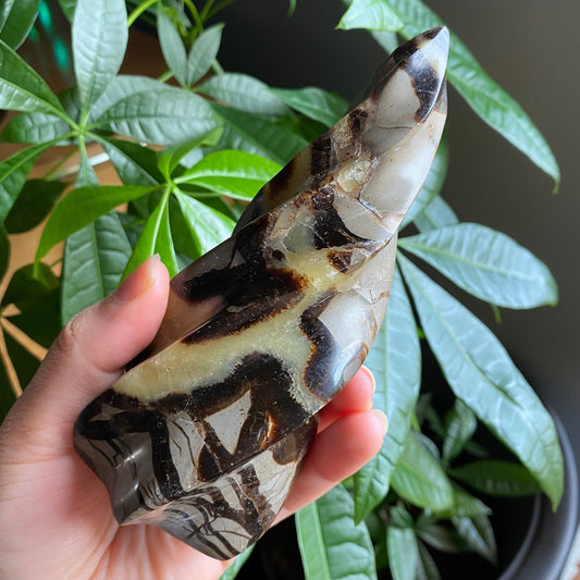 Septarian Flame | 5.7" | 15.4 oz | Dragon Stone | Septarian Crystal | Crystal Flame | Crystal Carving | SF3