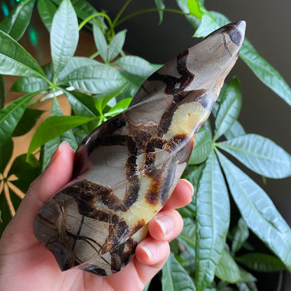 Septarian Flame | 5.7" | 15.4 oz | Dragon Stone | Septarian Crystal | Crystal Flame | Crystal Carving | SF3