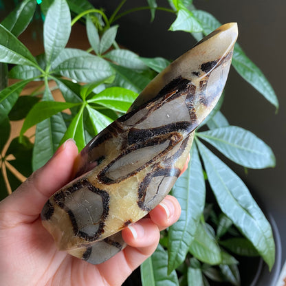 Septarian Flame | 5.7" | 12.4 oz | Dragon Stone | Septarian Crystal | Crystal Flame | Crystal Carving | SF4