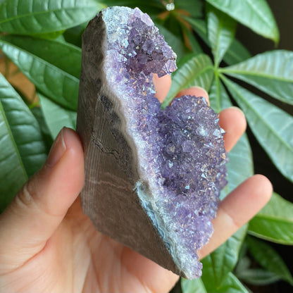 Raw Amethyst Geode | 11.5 oz | 3.6” | Rough Amethyst | Cathedral Amethyst | Crystal Cluster | Cut Base | Uruguay | Free Standing | AG4