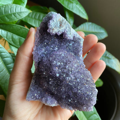 Raw Amethyst Geode | 11.5 oz | 3.6” | Rough Amethyst | Cathedral Amethyst | Crystal Cluster | Cut Base | Uruguay | Free Standing | AG4