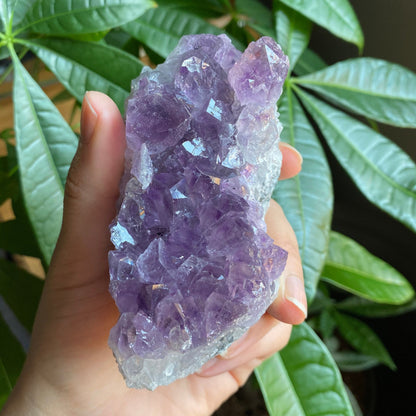 Raw Amethyst Geode | 13.3 oz | 3.3” | Rough Amethyst | Cathedral Amethyst | Crystal Cluster | Cut Base | Uruguay | Free Standing | AG5