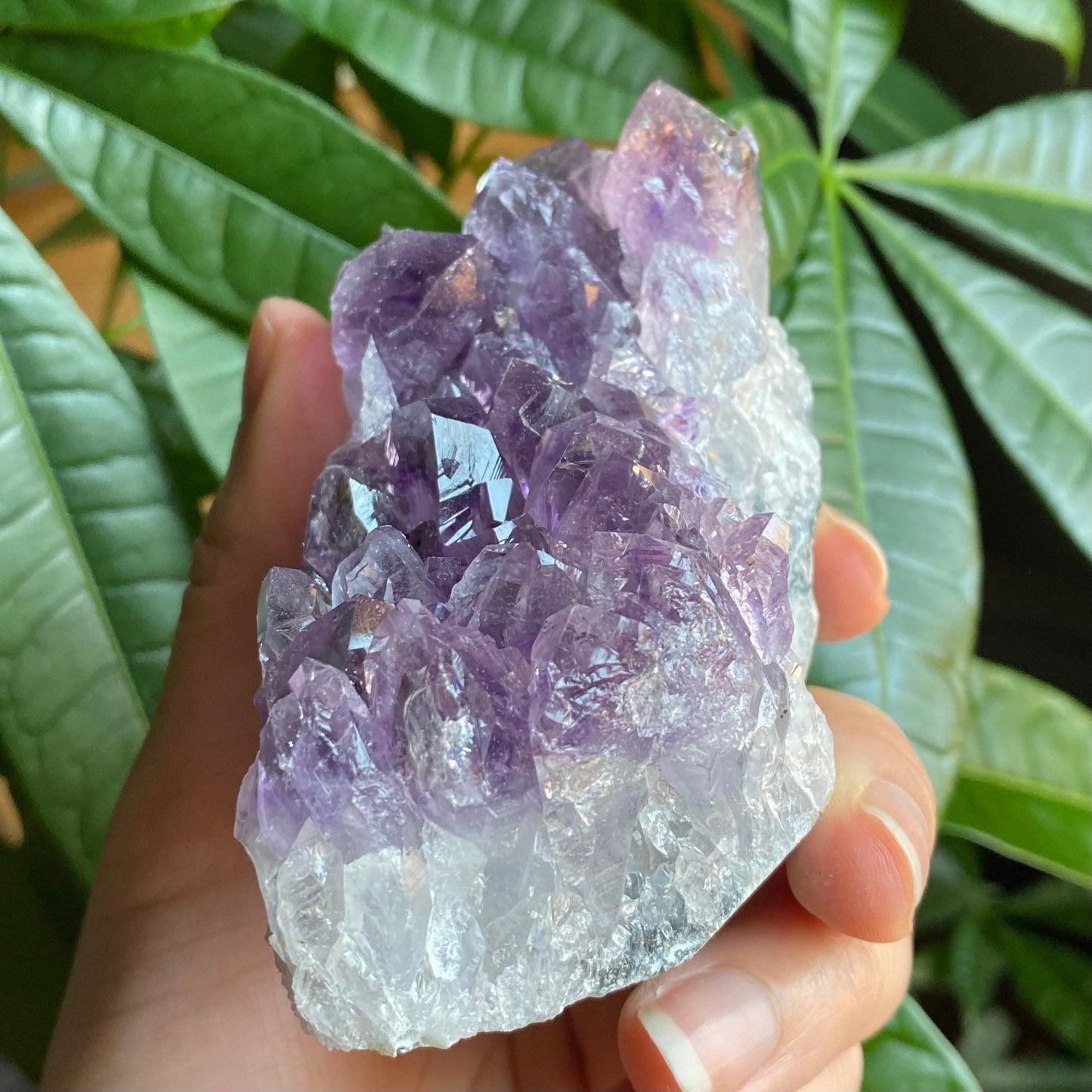 Raw Amethyst Geode | 13.3 oz | 3.3” | Rough Amethyst | Cathedral Amethyst | Crystal Cluster | Cut Base | Uruguay | Free Standing | AG5