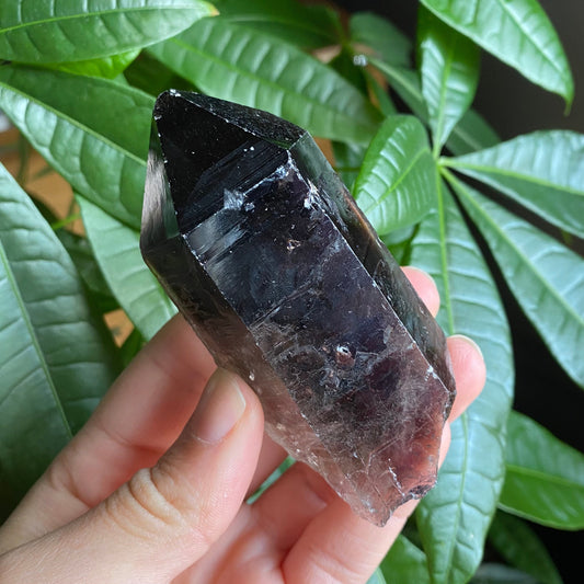 Smoky Quartz Point | 5.1 oz | 3.5 in | Crystal Point | Natural Quartz | SP16