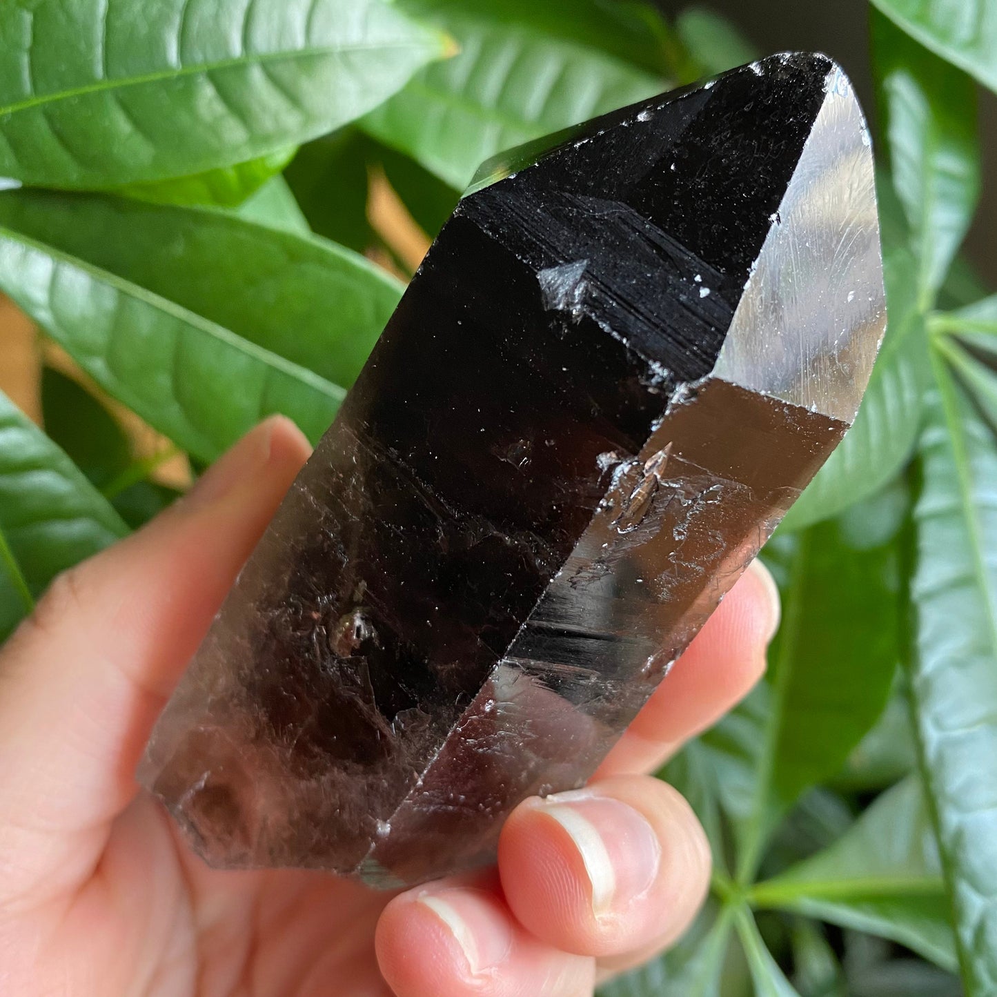 Smoky Quartz Point | 5.1 oz | 3.5 in | Crystal Point | Natural Quartz | SP16