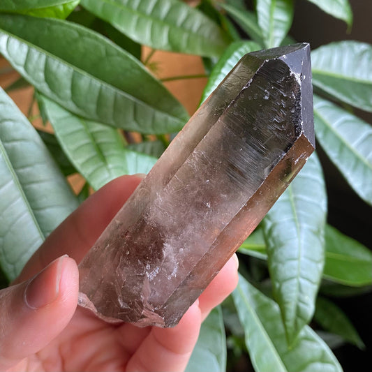 Smoky Quartz Point | 3.7 oz | 3.7 in | Crystal Point | Natural Quartz | SP15