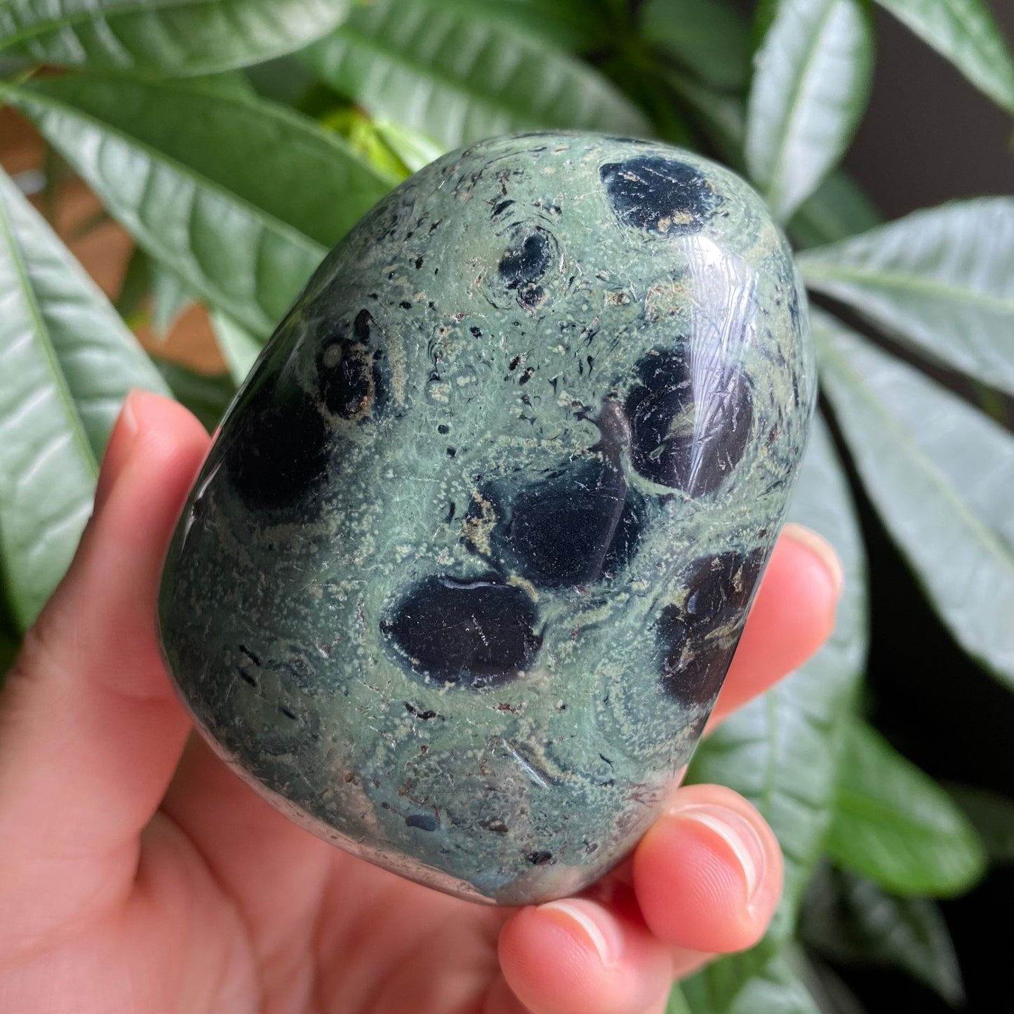 Kambaba Jasper Freeform | 11.4 oz | 2.7 in | Crystal Freeform | Palm Stone | K3