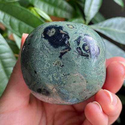 Kambaba Jasper Freeform | 11.4 oz | 2.7 in | Crystal Freeform | Palm Stone | K3