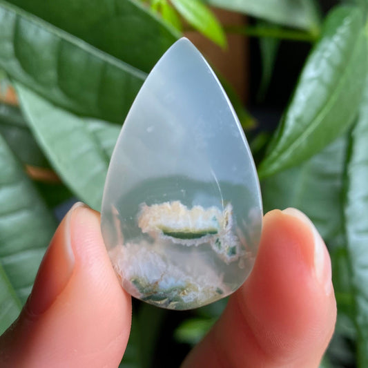 Tree Agate Cabochon | 1.25" | Tear Shaped Stone | Dendritic Agate | Cabochon | For Wire Wrapping | For Jewelry Making | Teardrop Shape