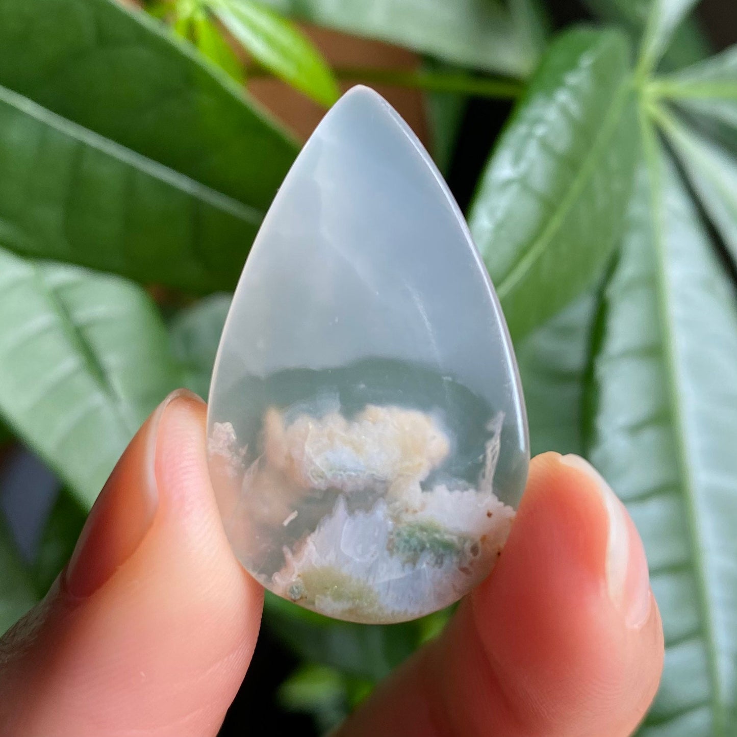 Tree Agate Cabochon | 1.25" | Tear Shaped Stone | Dendritic Agate | Cabochon | For Wire Wrapping | For Jewelry Making | Teardrop Shape