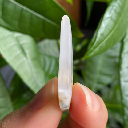 Tree Agate Cabochon | 1.25" | Tear Shaped Stone | Dendritic Agate | Cabochon | For Wire Wrapping | For Jewelry Making | Teardrop Shape