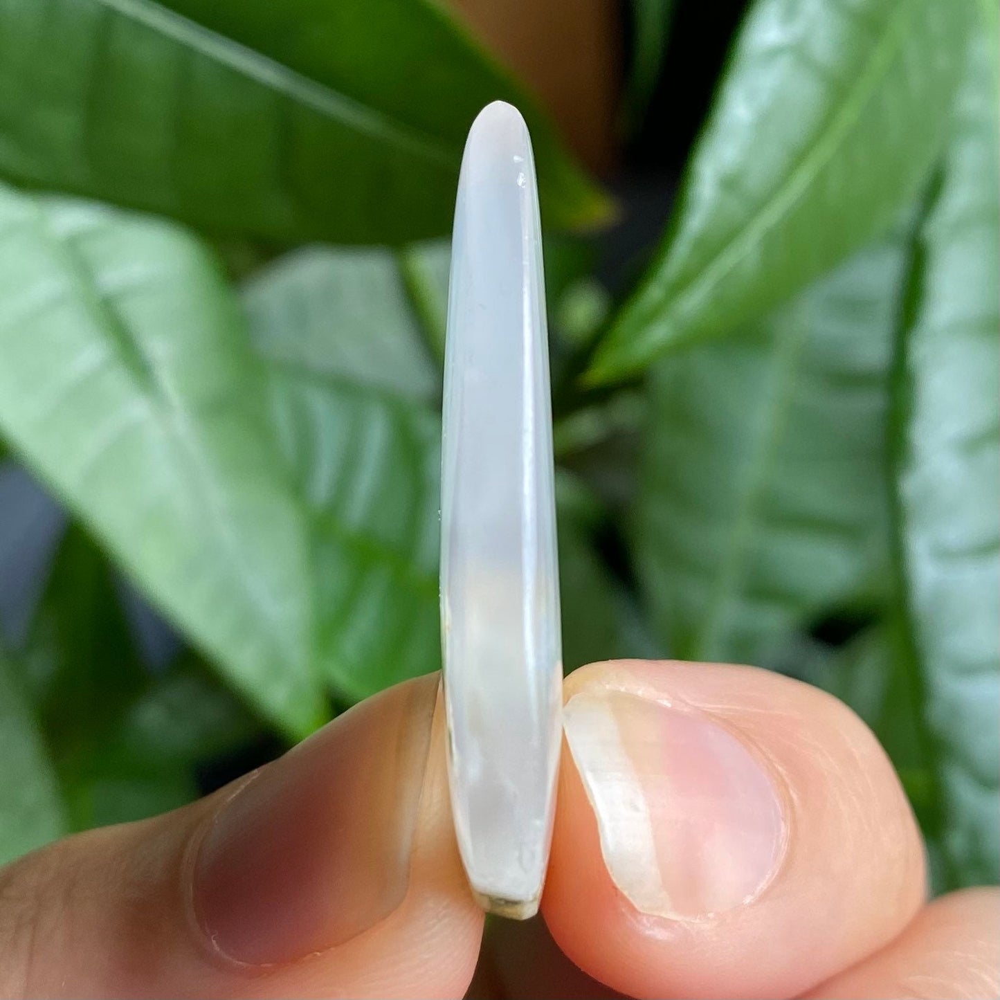 Tree Agate Cabochon | 1.25" | Tear Shaped Stone | Dendritic Agate | Cabochon | For Wire Wrapping | For Jewelry Making | Teardrop Shape