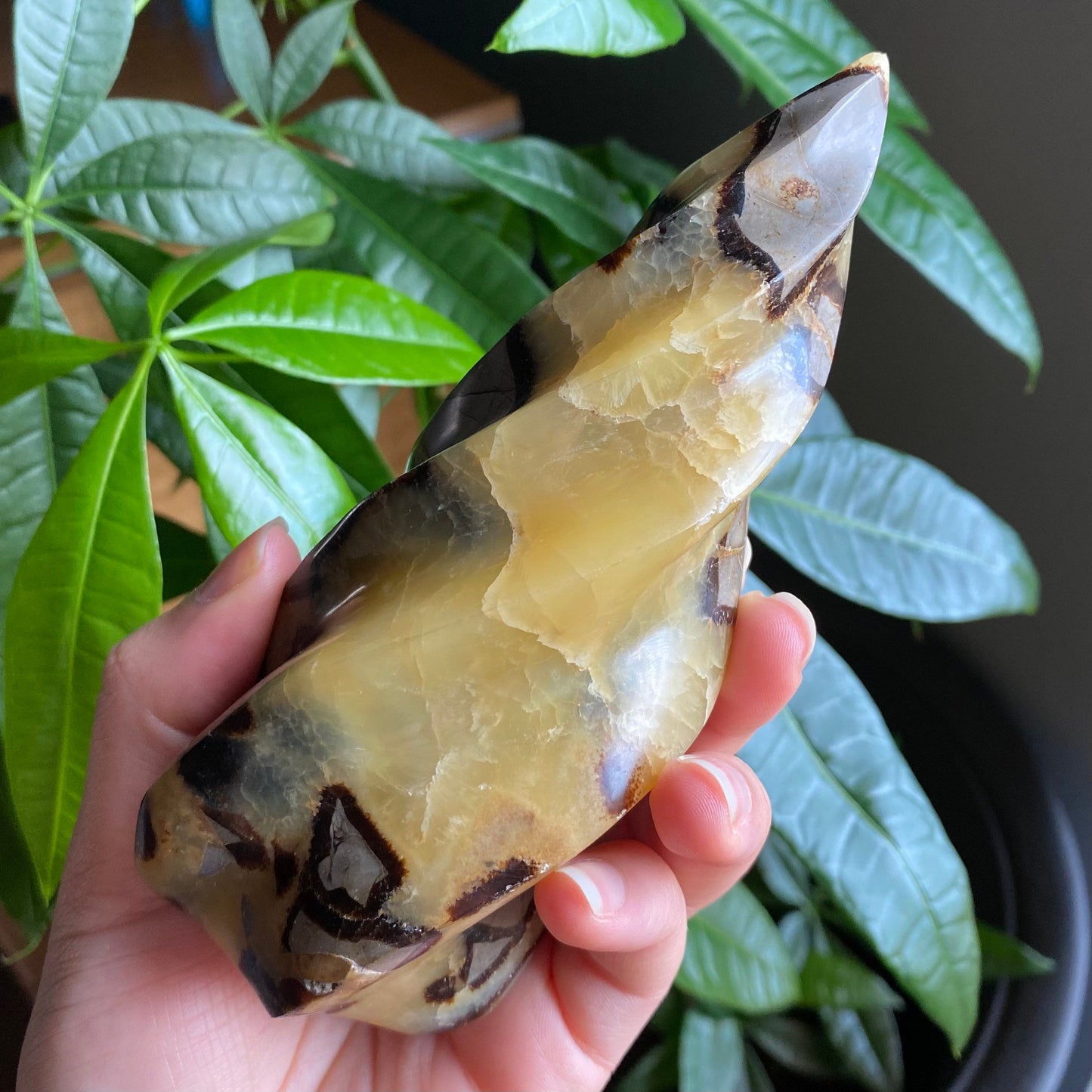 Septarian Flame | 5.7" | 15.9 oz | Dragon Stone | Septarian Crystal | Crystal Flame | Crystal Carving | SF2