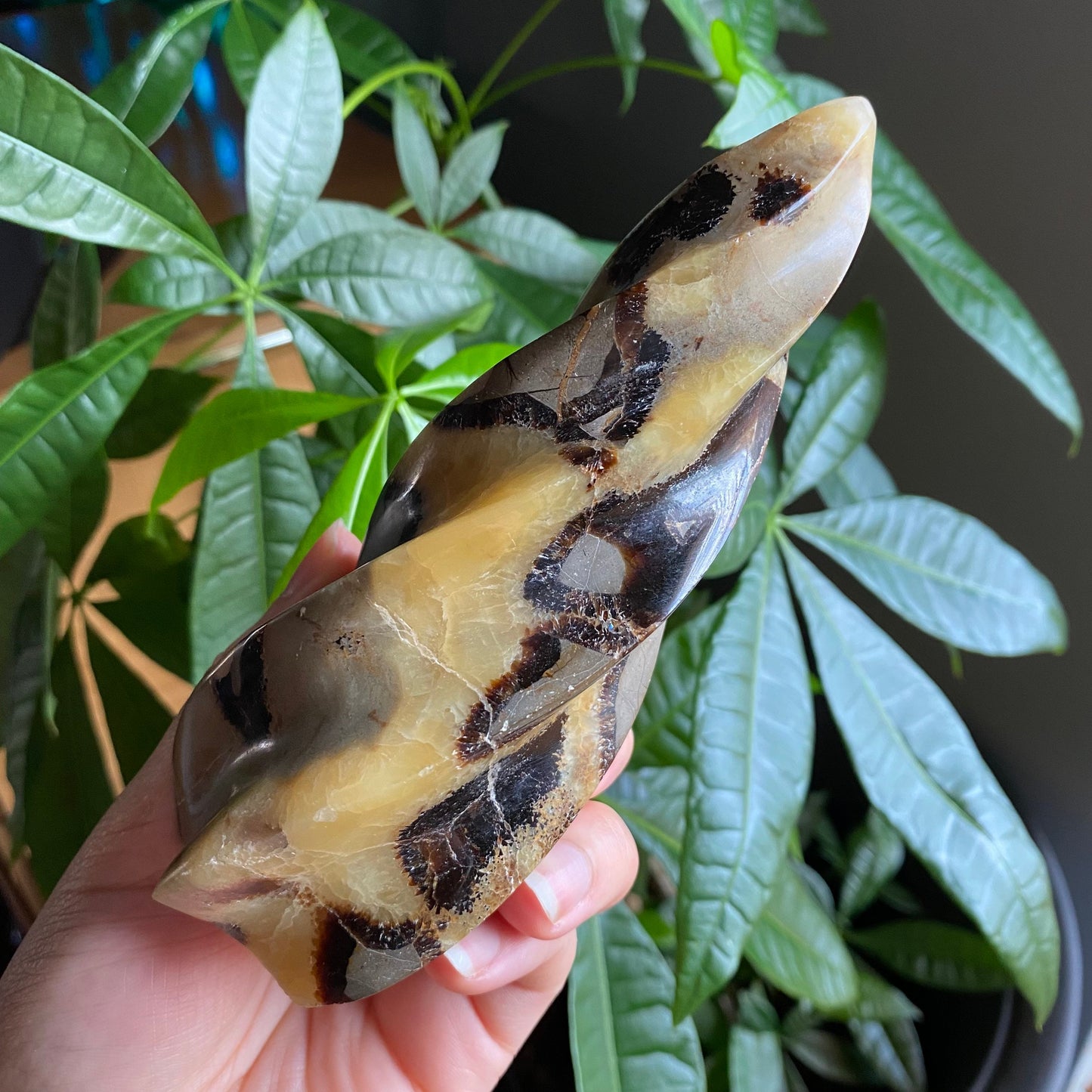 Septarian Flame | 5.7" | 12.4 oz | Dragon Stone | Septarian Crystal | Crystal Flame | Crystal Carving | SF4