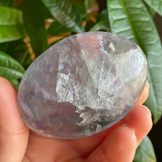 Large Rainbow Fluorite Palm Stone | 4.6 oz | 2.7" | Palm Stone | FP4