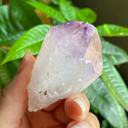Natural Amethyst Point | Iron Inclusion | 2.5 oz | 2.6 in | Large Crystal Point | Brazilian Amethyst | Rough Amethyst | AP6