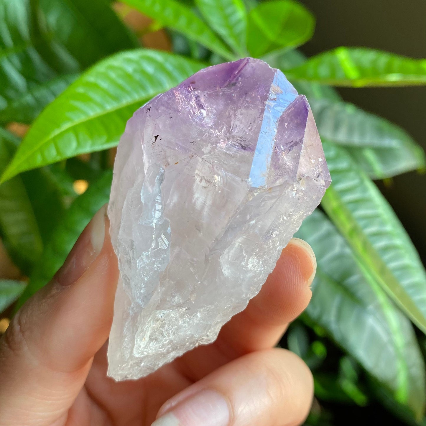 Natural Amethyst Point | Iron Inclusion | 2.5 oz | 2.6 in | Large Crystal Point | Brazilian Amethyst | Rough Amethyst | AP6