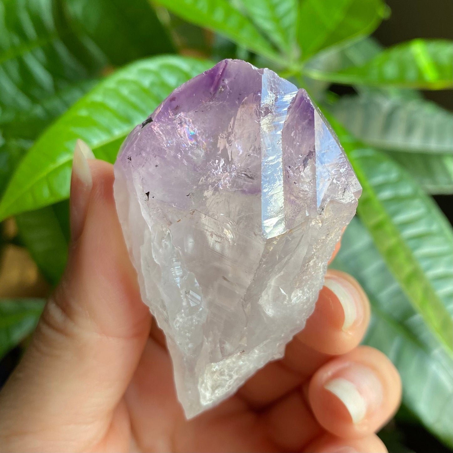 Natural Amethyst Point | Iron Inclusion | 2.5 oz | 2.6 in | Large Crystal Point | Brazilian Amethyst | Rough Amethyst | AP6