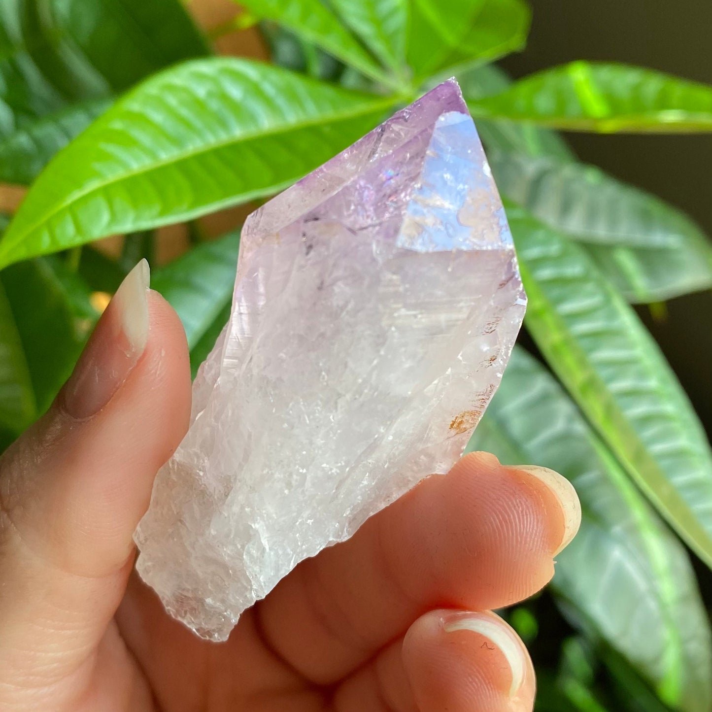 Natural Amethyst Point | Iron Inclusion | 2.5 oz | 2.6 in | Large Crystal Point | Brazilian Amethyst | Rough Amethyst | AP6