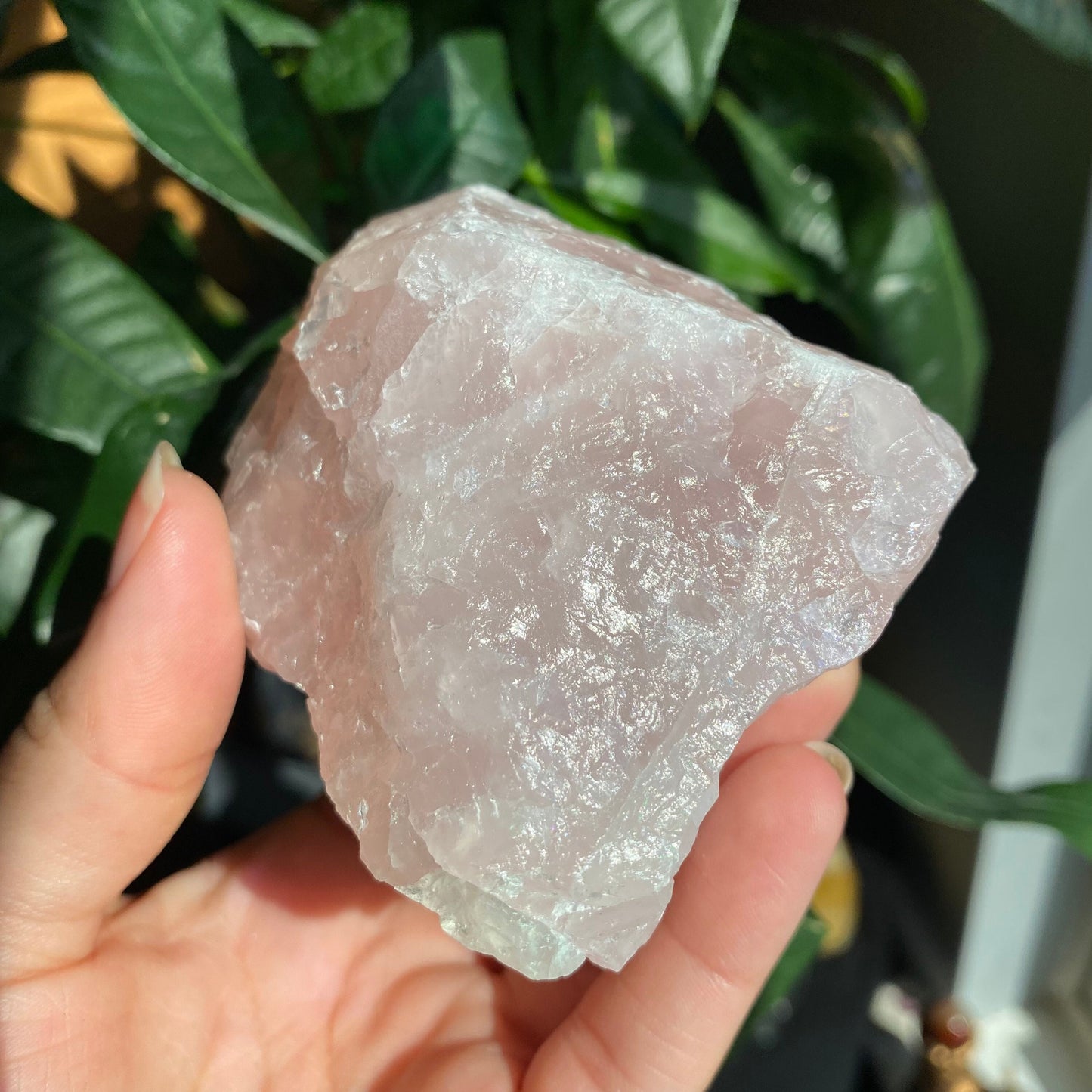 Rough Rose Quartz | 12.5 oz | 3.6”  | Rough Stone | Palm Size Stone | R3