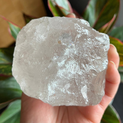 Rough Clear Quartz | 1lb 0.7 oz | 3.4”  | Rough Stone | Palm Size Stone | Q8
