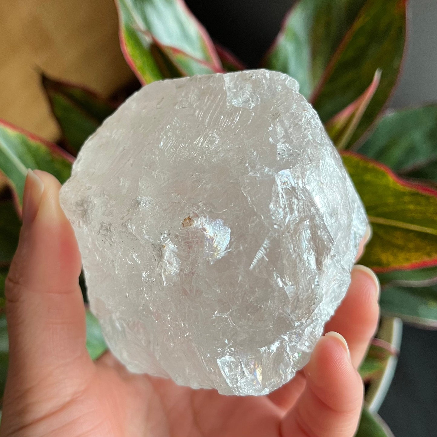 Rough Clear Quartz | 1lb 0.7 oz | 3.4”  | Rough Stone | Palm Size Stone | Q8