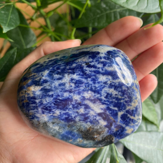 Sodalite Freeform | 13.3 oz | 3”  | Palm Stone | S2