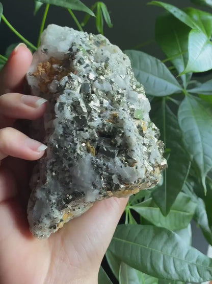 Pyrite on Quartz Matrix Specimen | 2 lb 5.2 oz | 5" | Pyrite | Mineral Specimen | Fools Gold | Attract Abundance | Pyrite Specimen