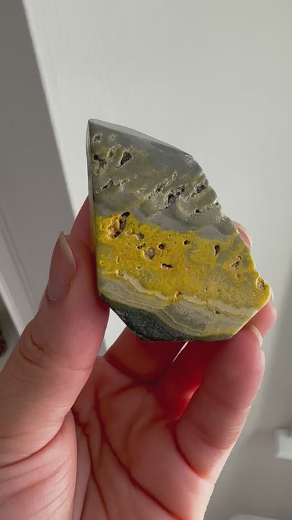 Bumblebee Jasper Freeform