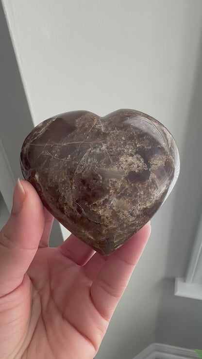 Petrified Wood Heart