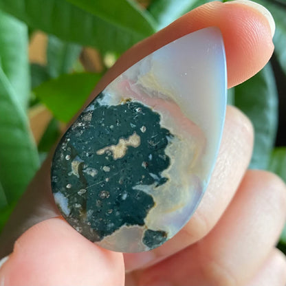 Tree Agate Cabochon | 1.6 in | Dendritic Agate | Cabochon | For Wire Wrapping | For Jewelry Making | Teardrop Shape | TAC1