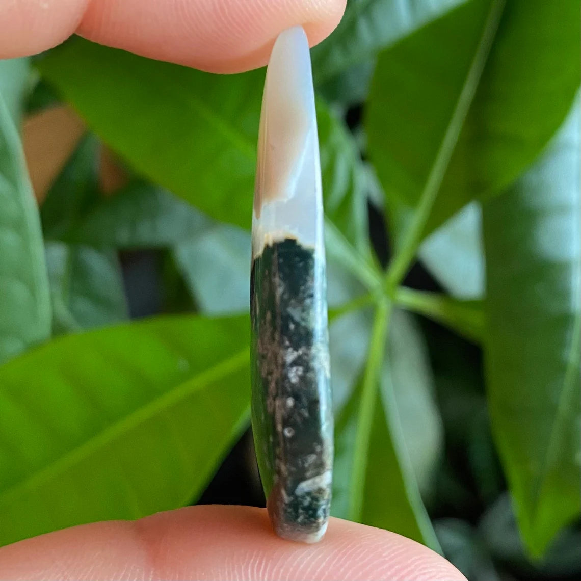 Tree Agate Cabochon | 1.6 in | Dendritic Agate | Cabochon | For Wire Wrapping | For Jewelry Making | Teardrop Shape | TAC1