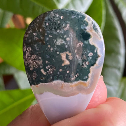Tree Agate Cabochon | 1.6 in | Dendritic Agate | Cabochon | For Wire Wrapping | For Jewelry Making | Teardrop Shape | TAC1